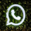 Whatsapp Photo Issue