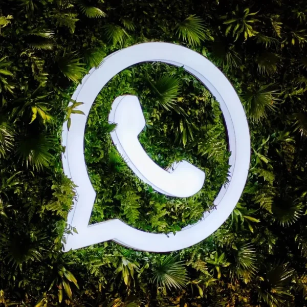 Whatsapp Photo Issue