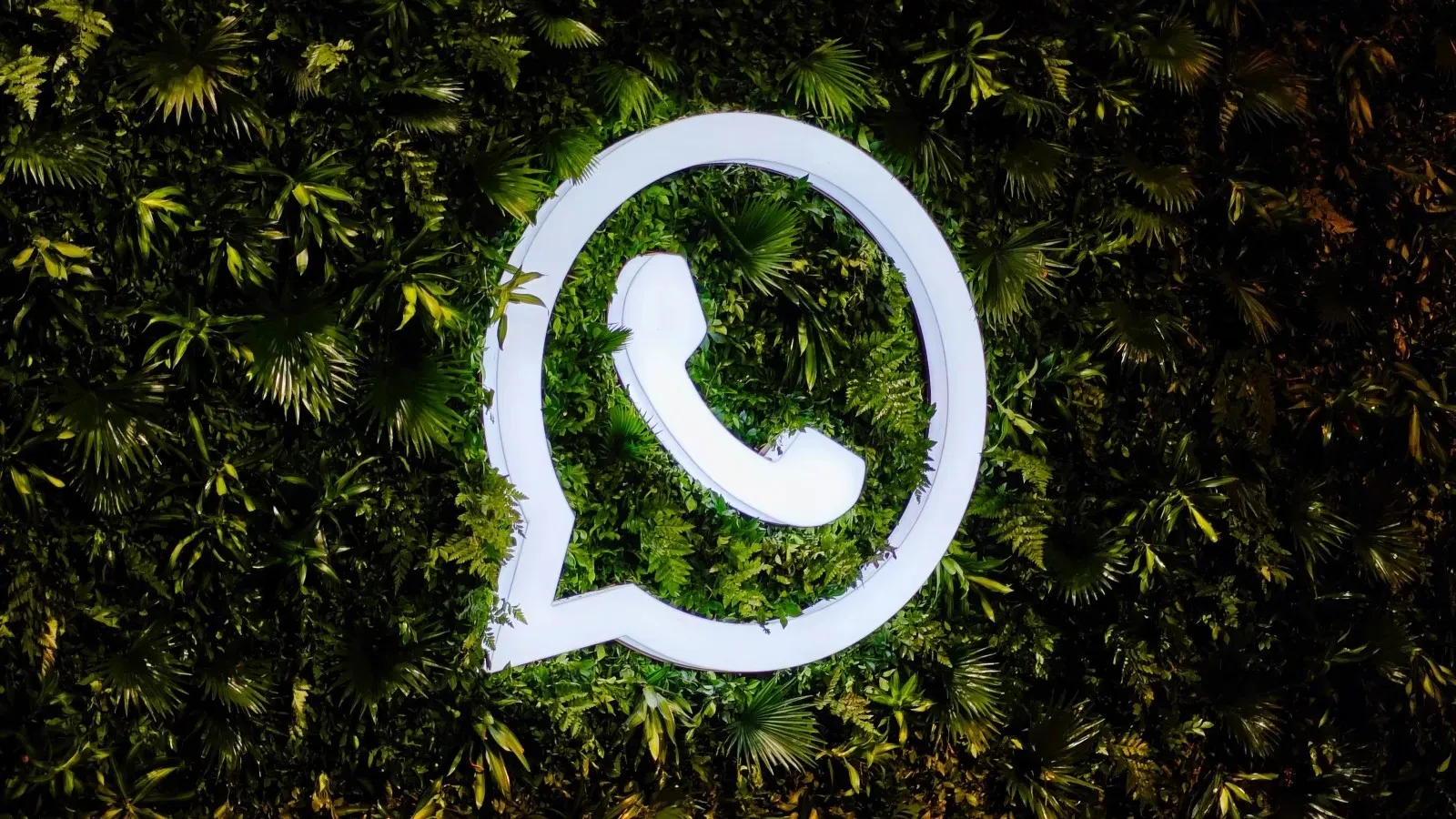 Whatsapp Photo Issue