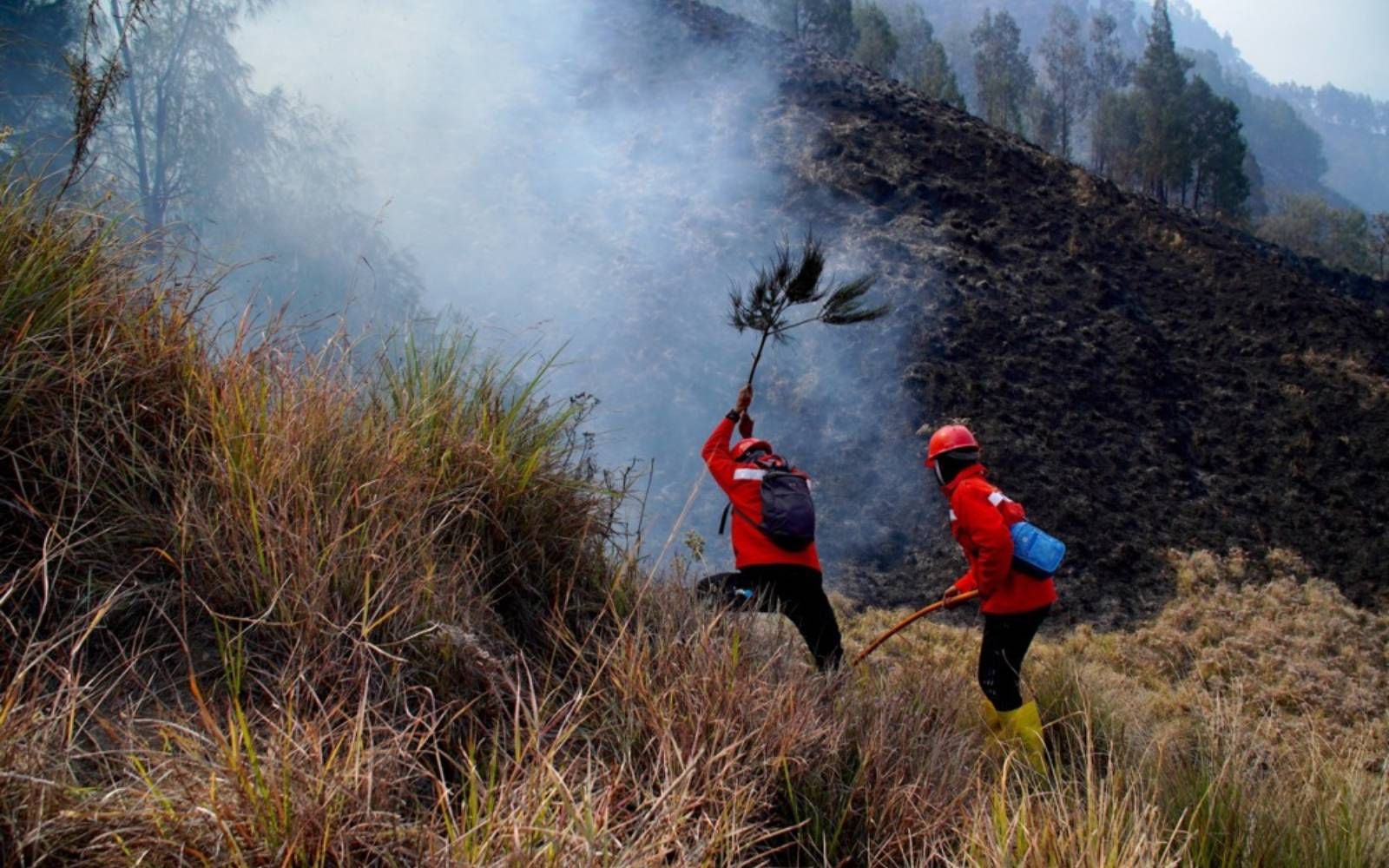 Firefighters extinguish a wildfire in Bromo Tengger Semeru National Park in Pasuruan, East Java
